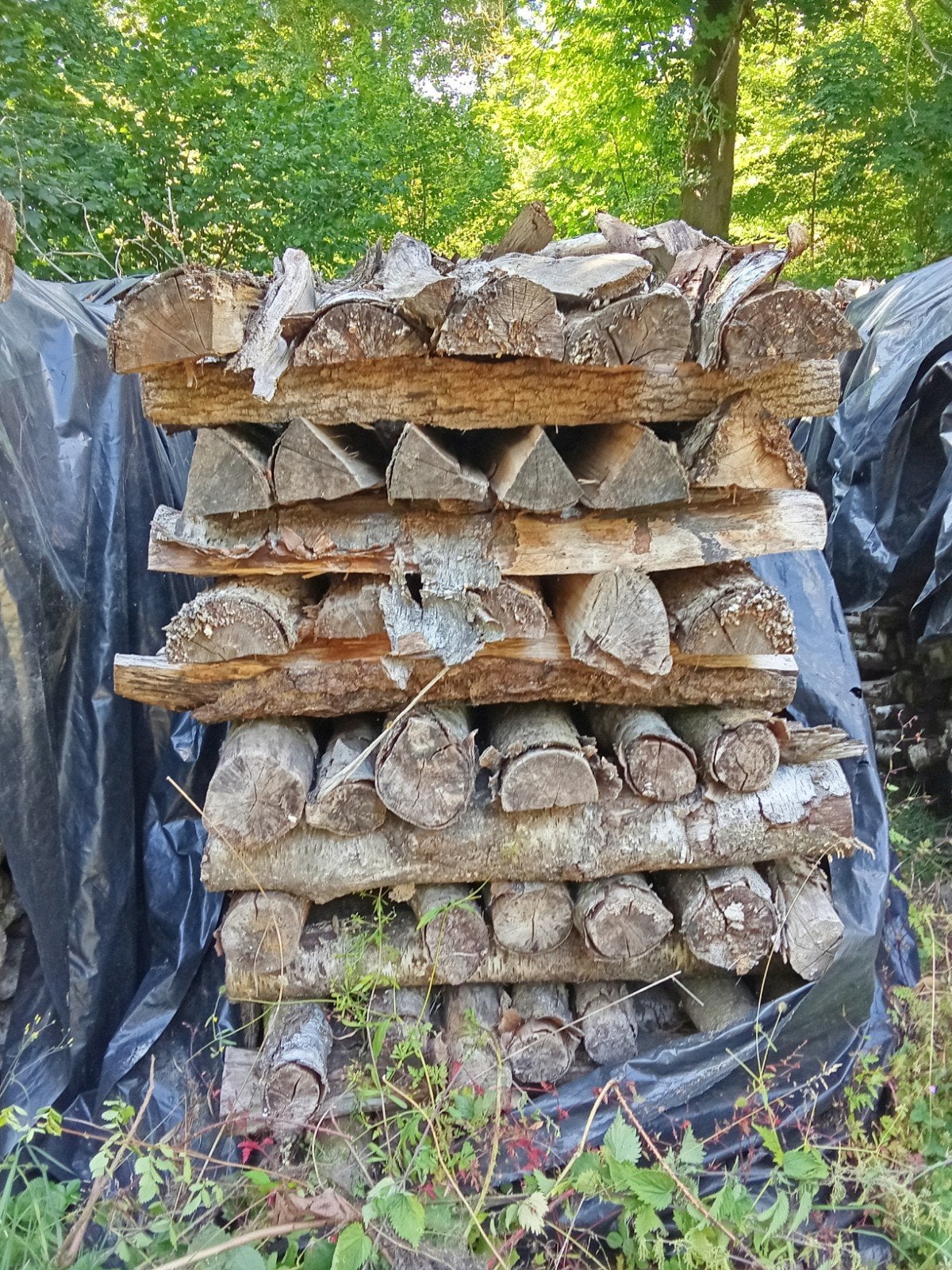 Bois sec fendu uniquement 1m à enlever