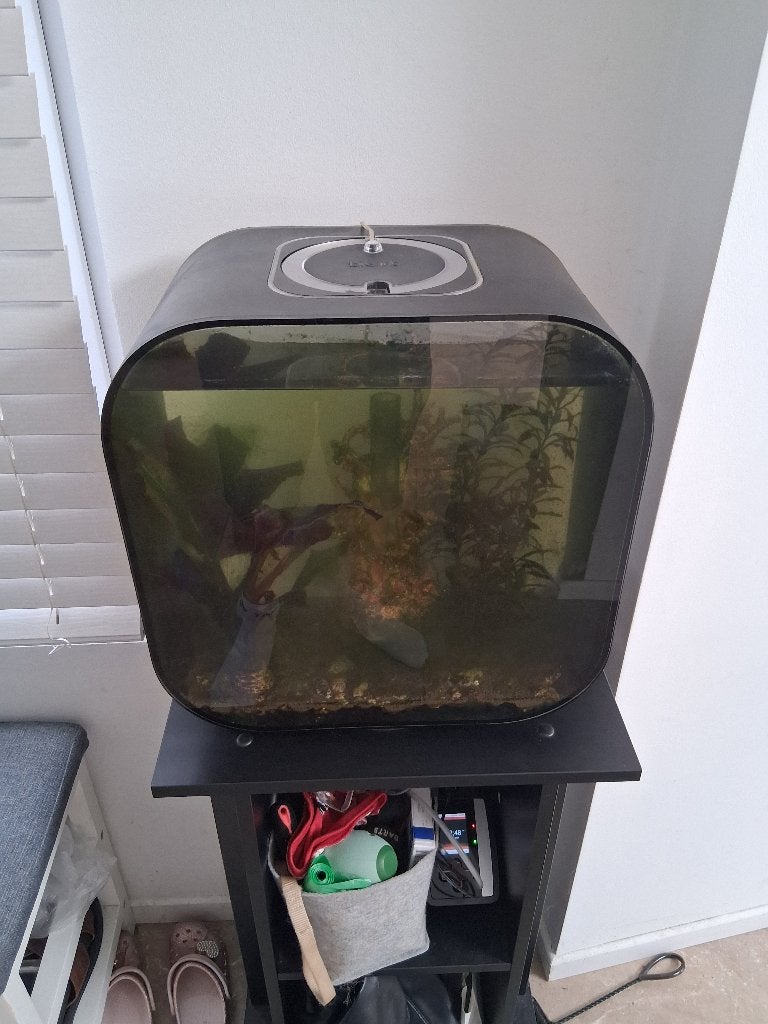 Aquarium, Animaux & Accessoires, Poissons | Aquariums & Accessoires, Enlèvement, Pompe, Utilisé, Filter