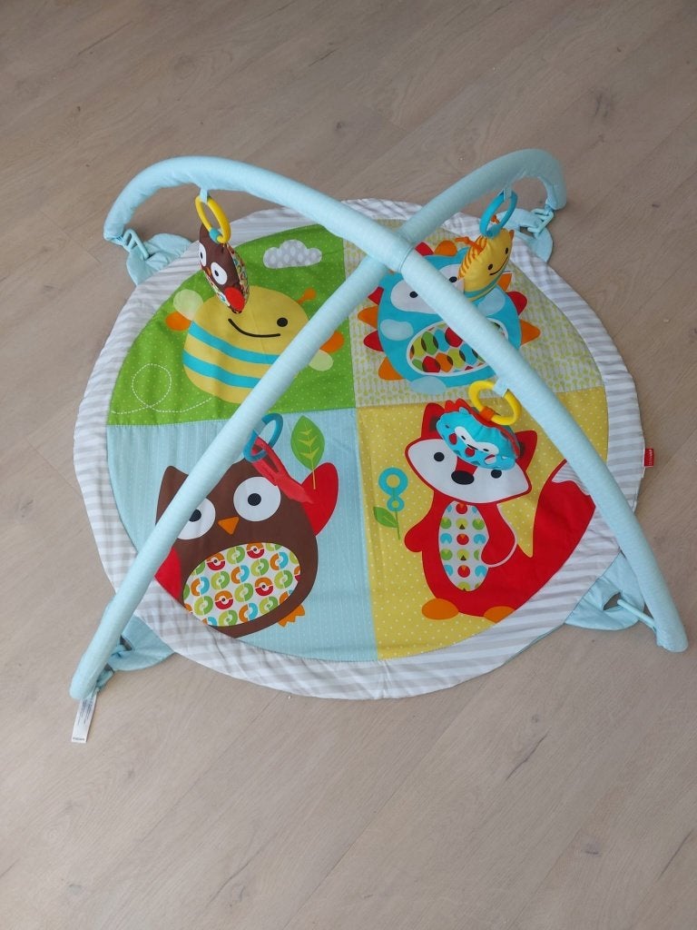 Speelmat / Activity Gym Skip*Hop, Ophalen, Zo goed als nieuw