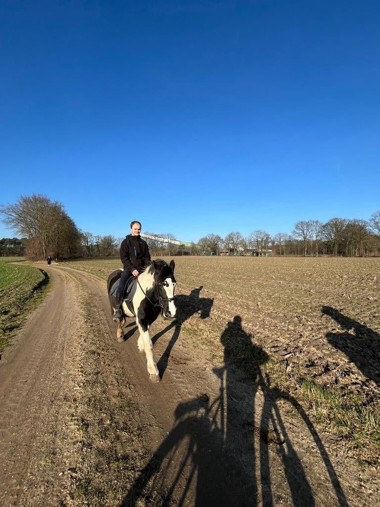 Weide en stalling gezocht voor pony van 21j bocholt lozen, Dieren en Toebehoren
