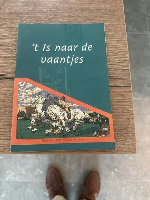 't is naar de vaantjes bedevaart naar Hakendover 1999, Collections, Enlèvement, Comme neuf, Livre, Christianisme | Catholique