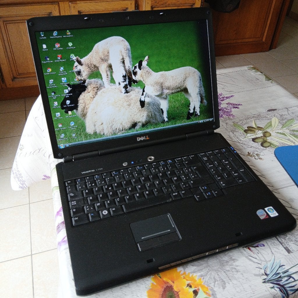 Ordinateur portable Dell Vostro 1700, Ophalen, Gebruikt, HDD, 2 tot 3 Ghz
