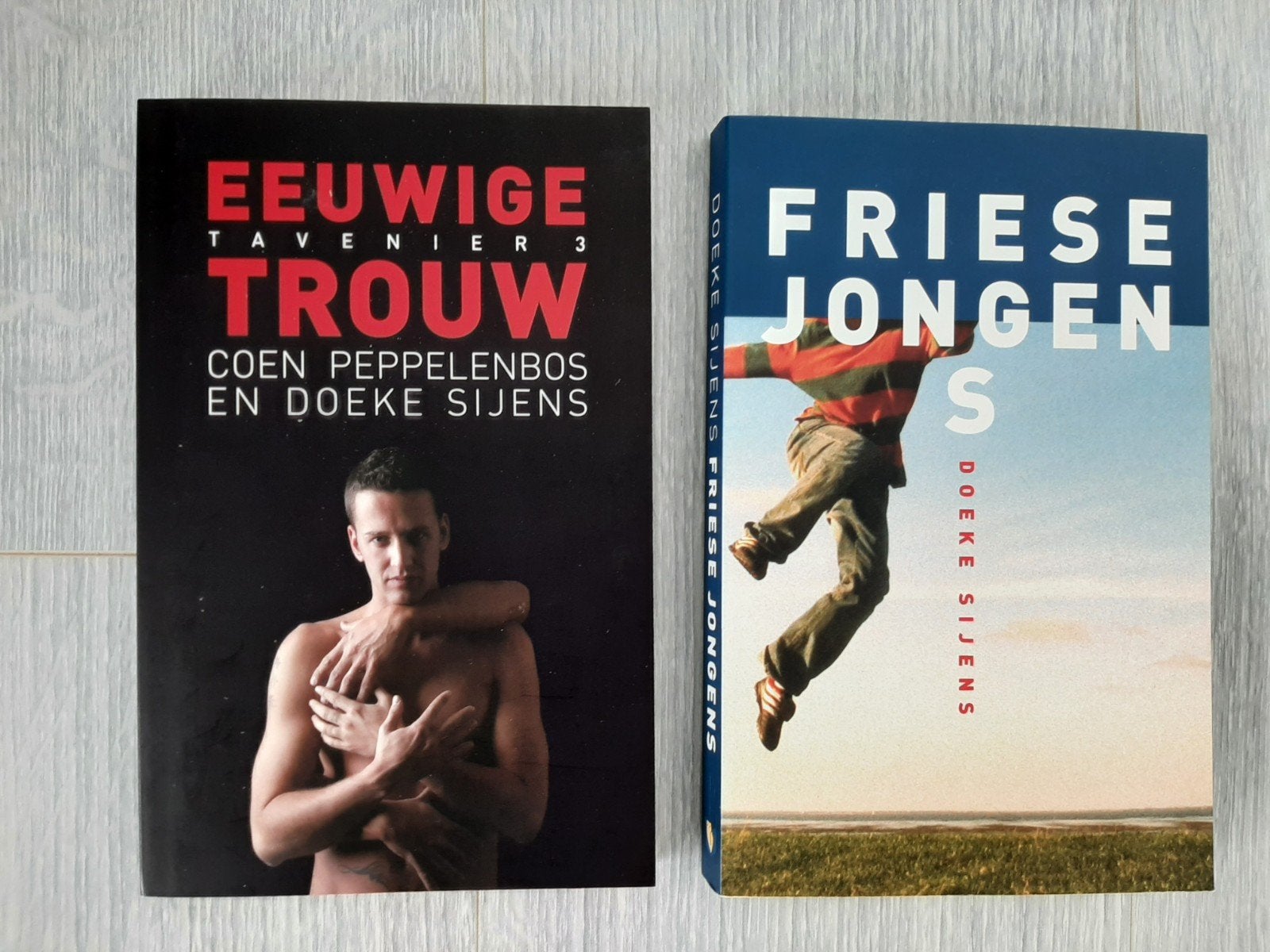 2 romans Eeuwige trouw  en Friese Jongens, Livres, Cinéma, Tv & Médias, Enlèvement ou Envoi