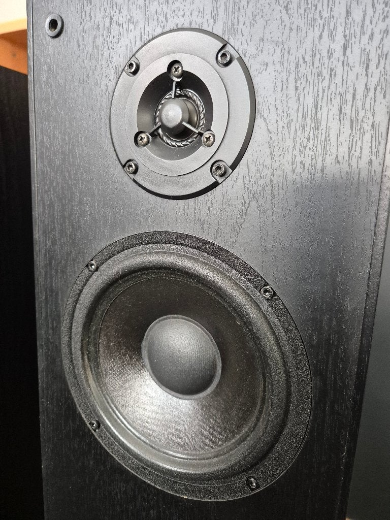 Audio Pro Stage 55 luidsprekers, Audio, Tv en Foto, Luidsprekerboxen, Gebruikt, Vloerstaande luidspreker, 60 tot 120 watt, Overige merken