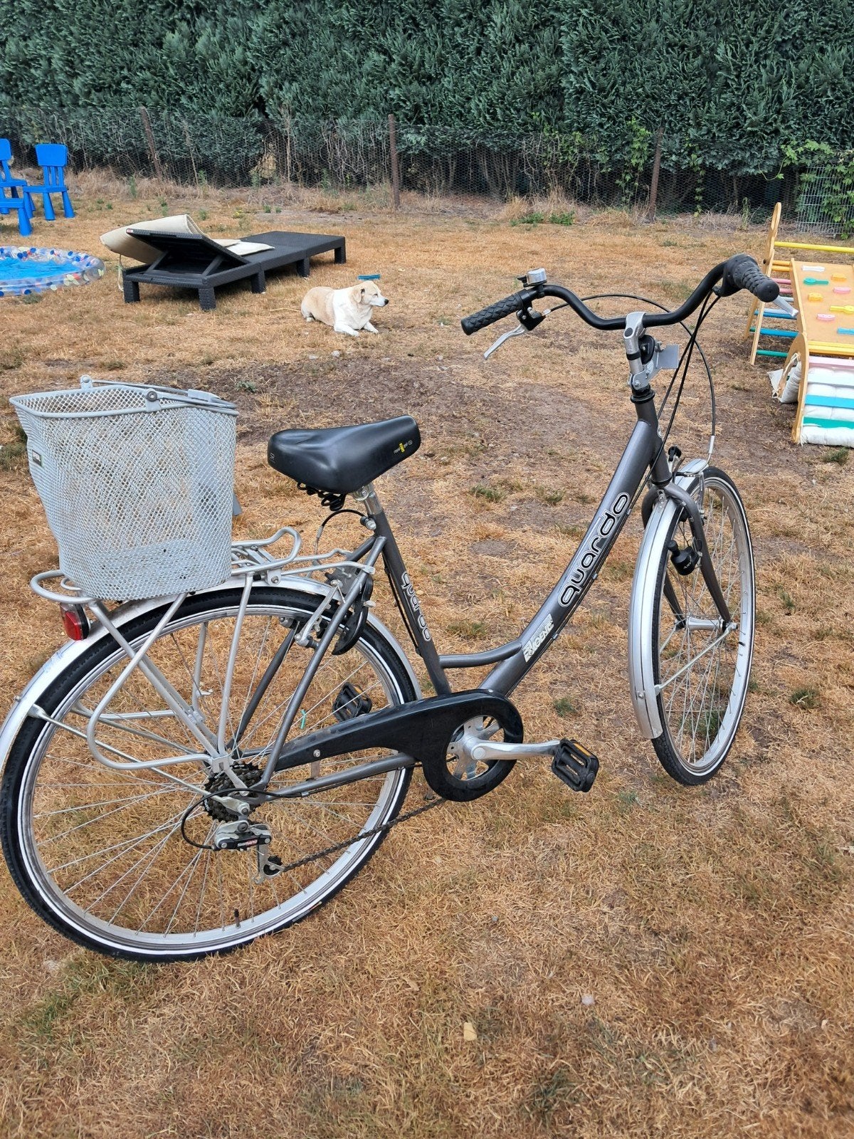 damesfiets quardo goede staat, 50 tot 53 cm, Ophalen, Velgrem, Versnellingen