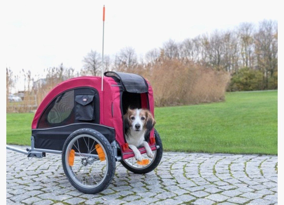Hondenfietskar, Dieren en Toebehoren, Ophalen, Zo goed als nieuw