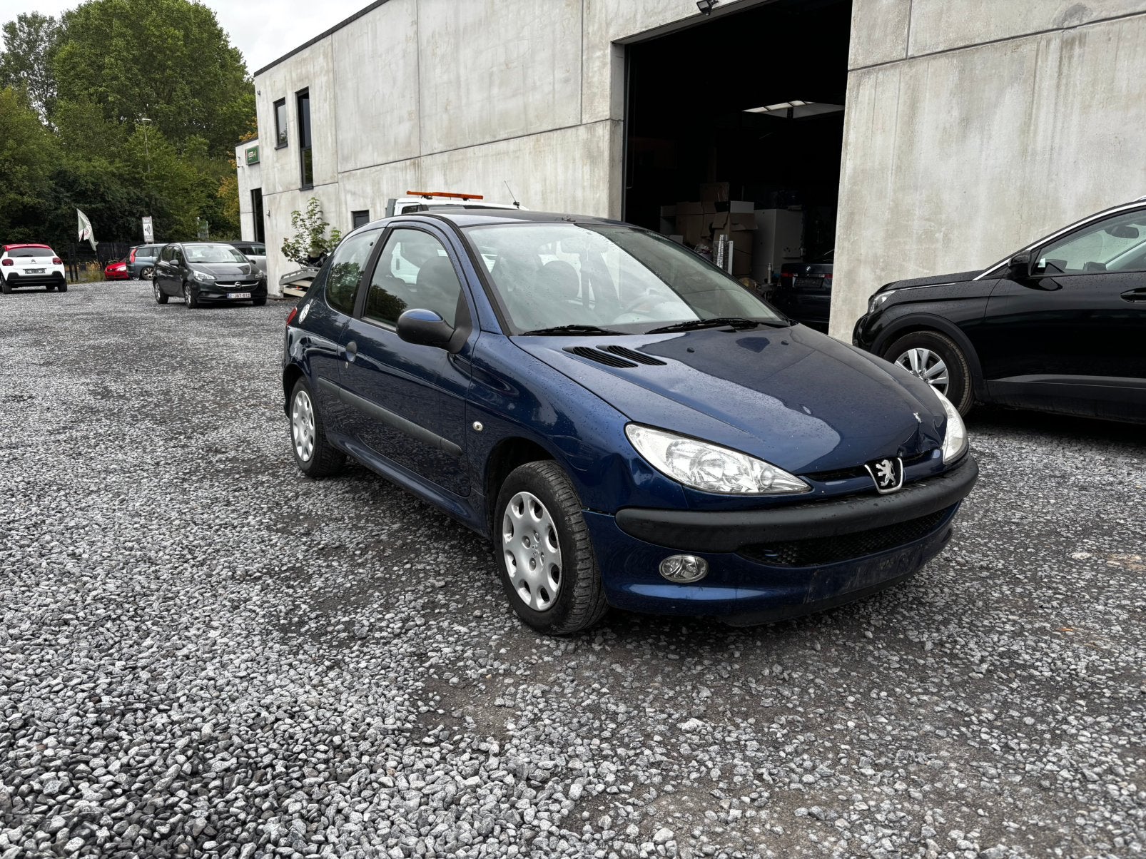 Peugeot 206, Autos, Achat, Entreprise, Vert