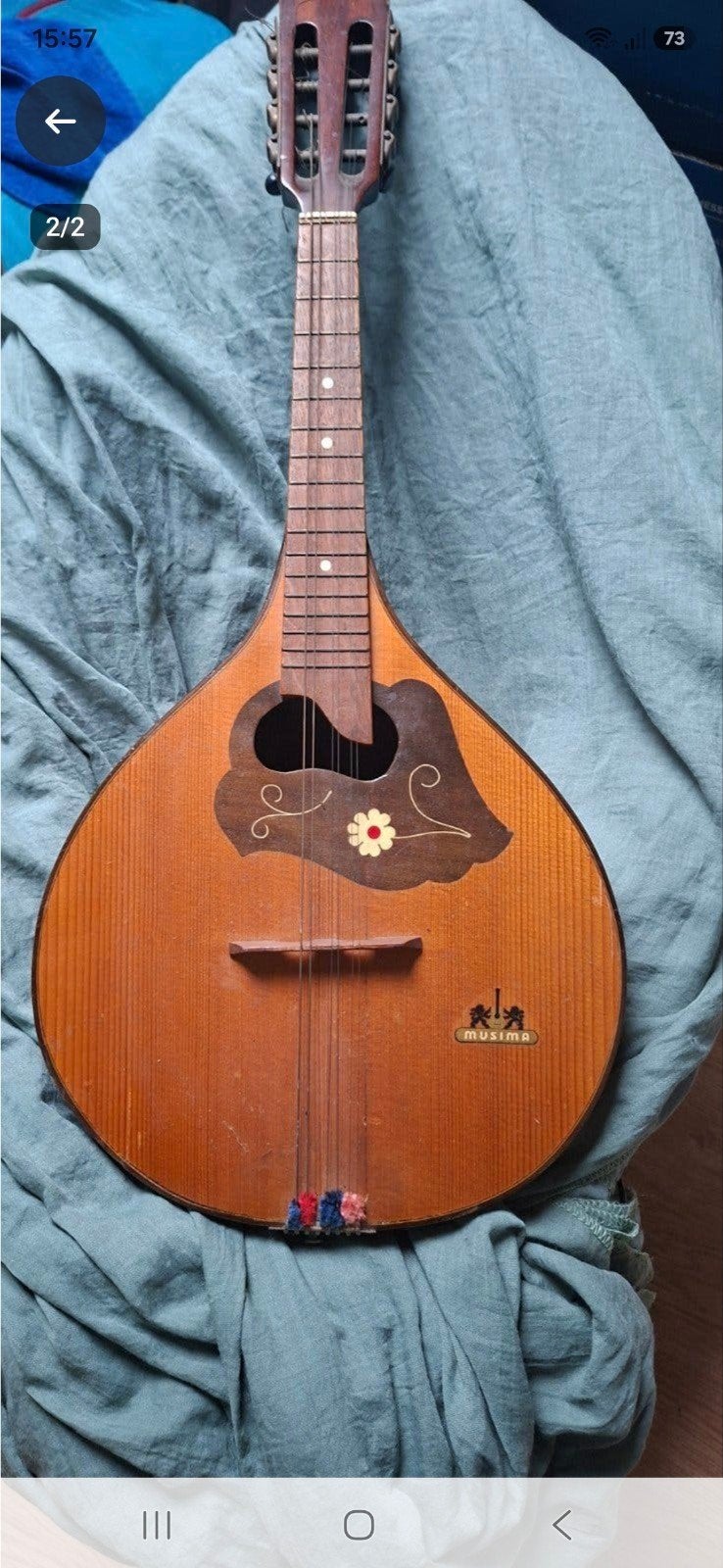 mandolien, Musique & Instruments, Enlèvement, Utilisé