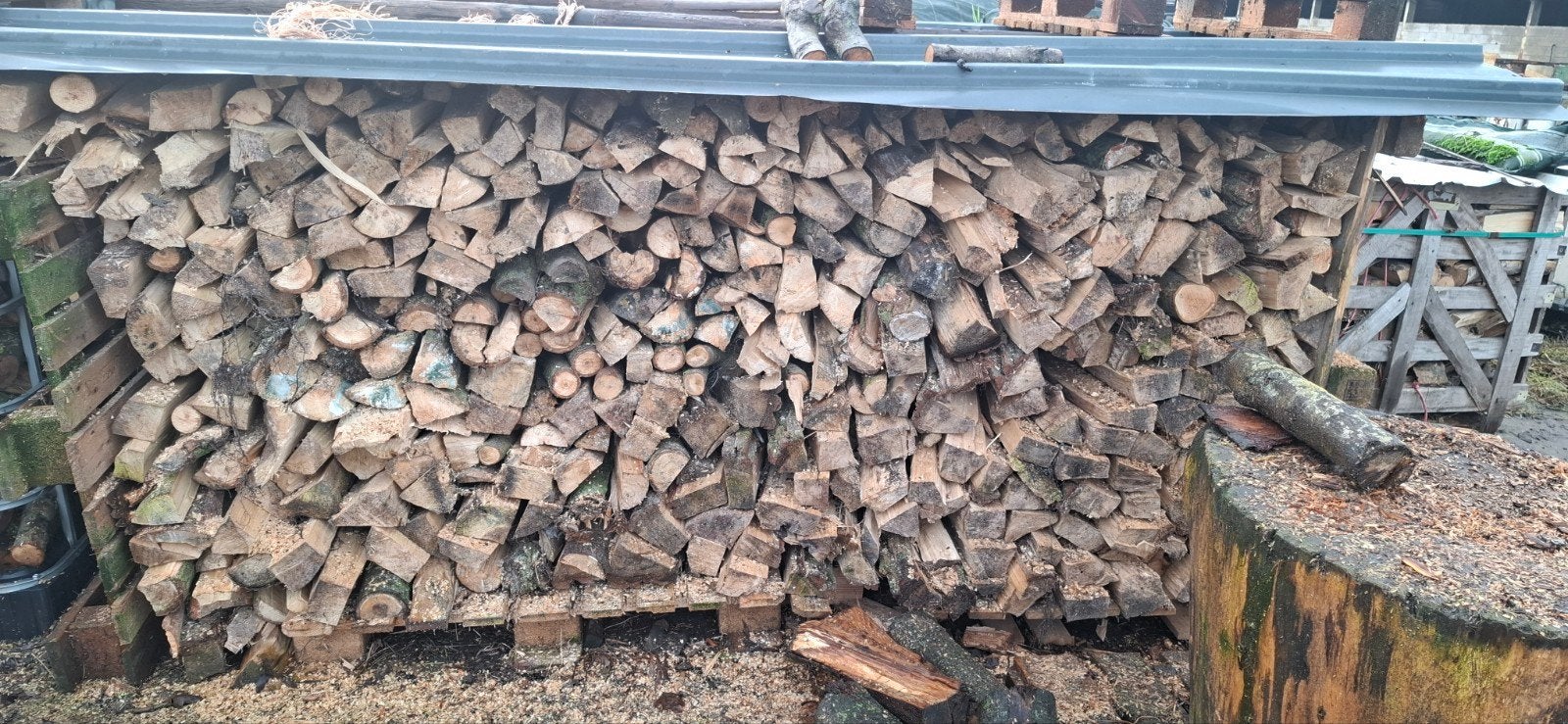 brandhout populier droog, 3 à 6 m³, Enlèvement, Autres essences de bois, Bûches