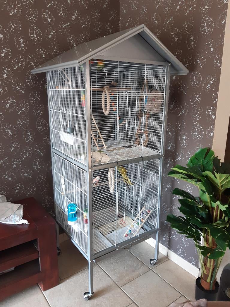 Vogelkooi, Enlèvement, Utilisé, Cage à oiseaux