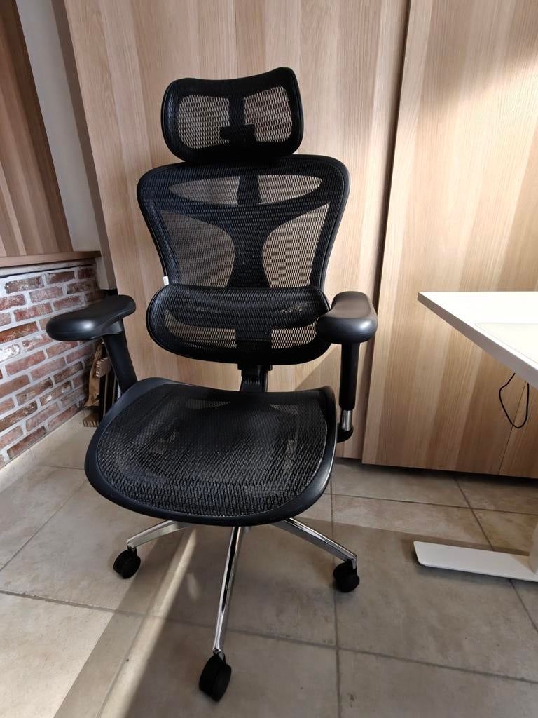 Ergonomische bureaustoel van Sihoo, Ophalen, Bureaustoel