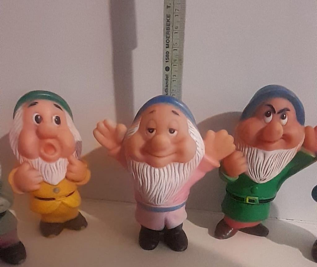 5 Dwergen ophalen in viane, Ophalen