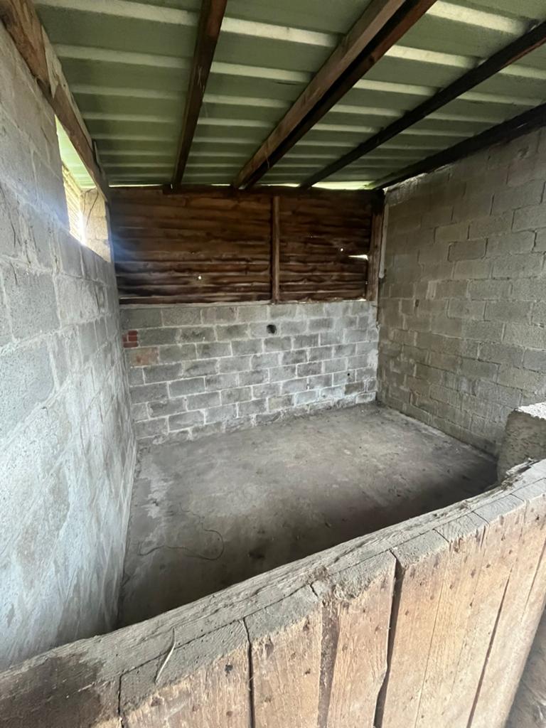 Boxes à louer, Pâturage, 4 chevaux ou poneys ou plus