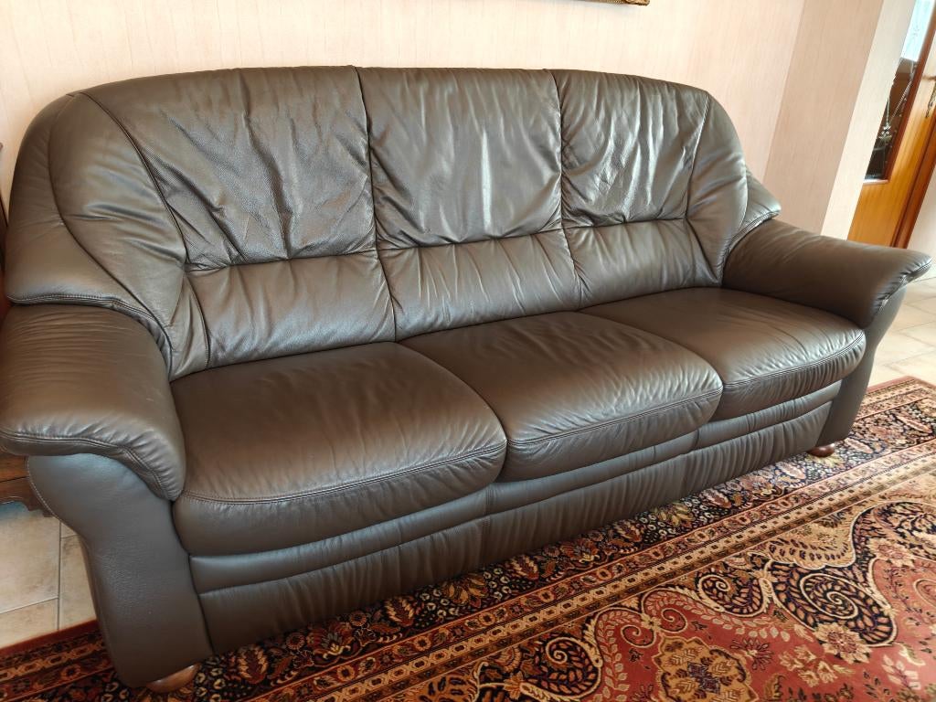 Lederen salon, Ophalen, Gebruikt, Leer