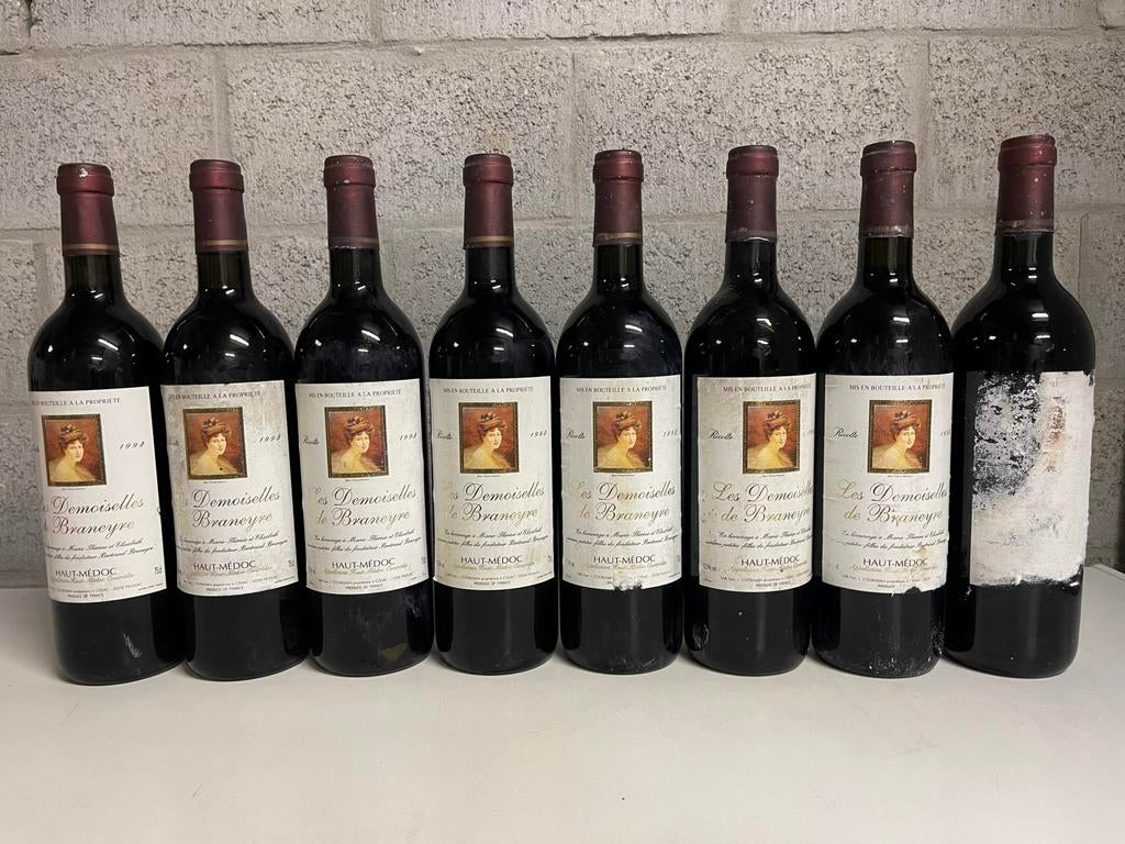 Les demoiselles de Braneyre 1993 Haut Medoc, Verzamelen, Ophalen, Zo goed als nieuw, Frankrijk, Rode wijn
