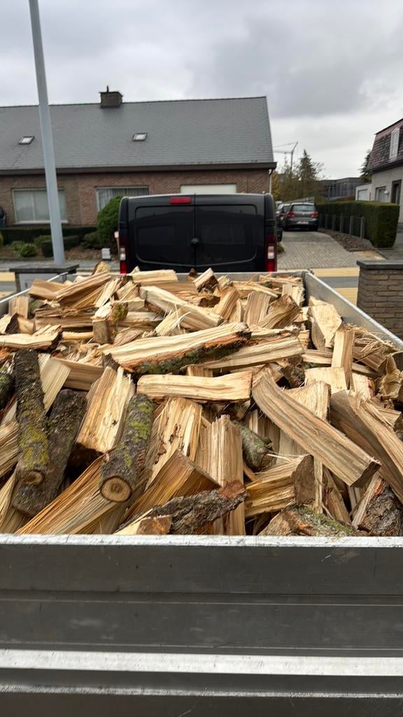 Droog brandhout gemengd wilg en populier, 6 m³ ou plus, Envoi, Autres essences de bois, Bûches