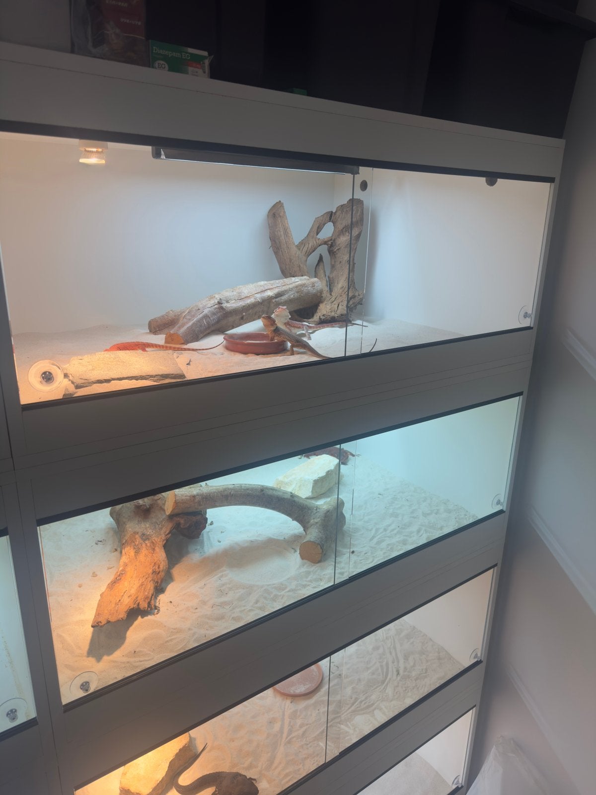 Terrarium bak te koop ( geen dieren ), Dieren en Toebehoren, Ophalen, Zo goed als nieuw, Verlichting