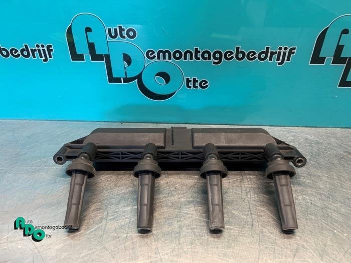 Bobine d'un Citroen C2 (C2 03-), -, 3 mois de garantie, Utilisé, -