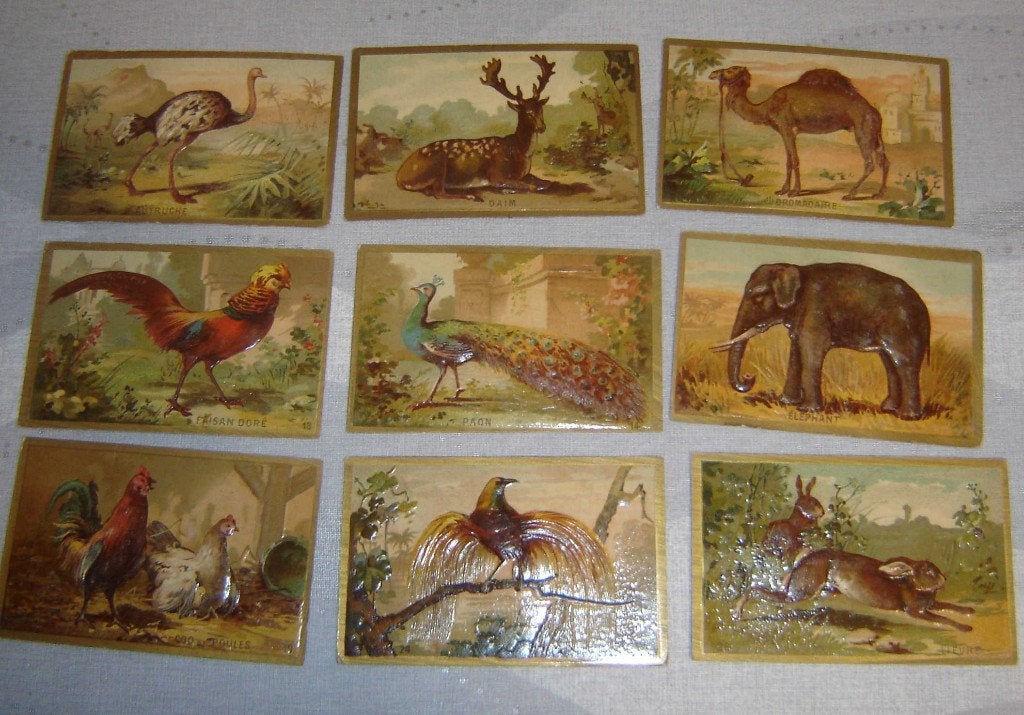 Chromos RELIEF Animals 28e édition ?, Avant 1940, Gravure, Utilisé, Autres sujets/thèmes