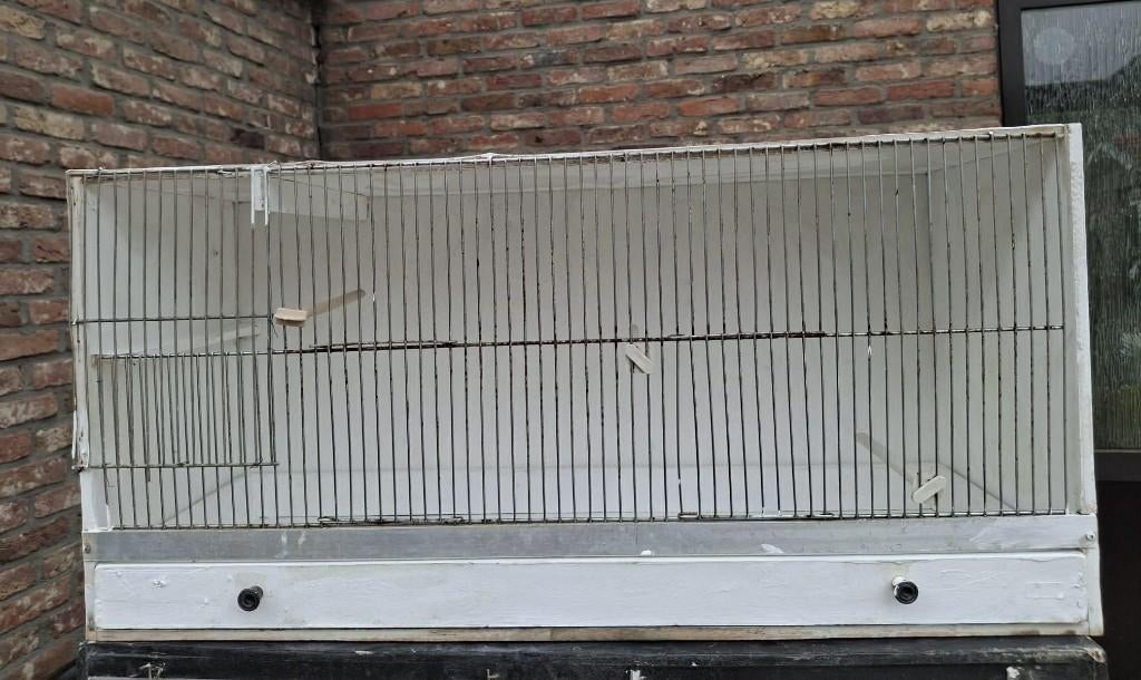 kweekbak, Dieren en Toebehoren, Ophalen