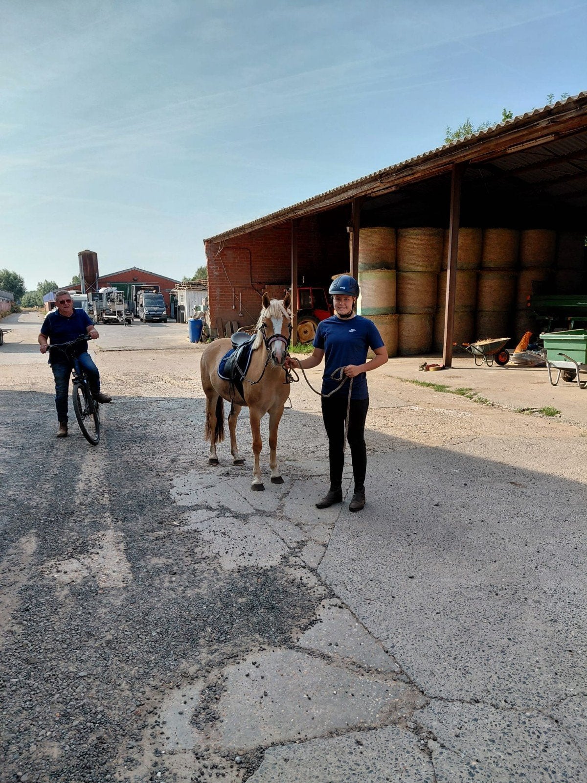 2 jarige b-pony te koop, Niet van toepassing, 0 tot 2 jaar, B pony (1.17m tot 1.27m), Merrie