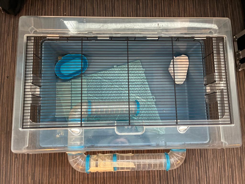 Kot voor hamster, Ophalen, Gebruikt, Hamster