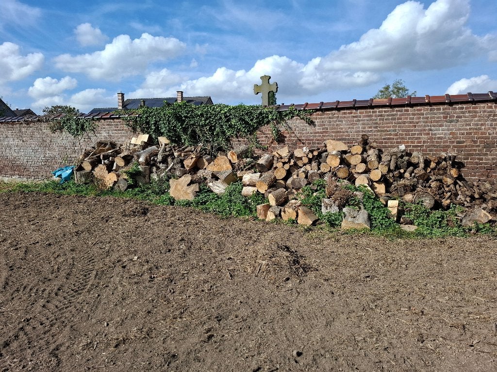 Bois de chauffage, Jardin & Terrasse, Enlèvement, Hêtre, Bûches