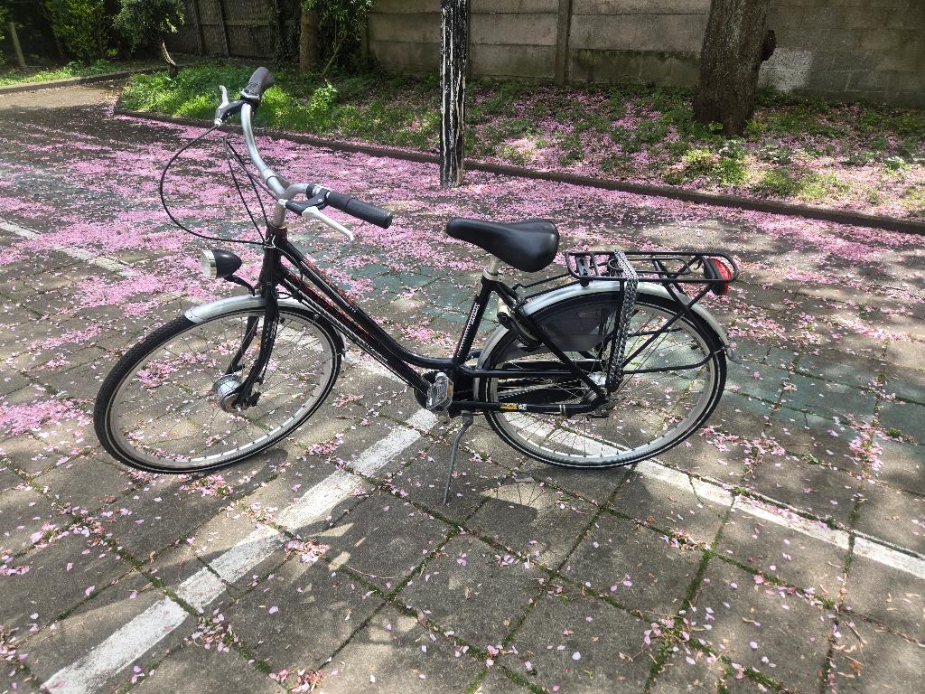 Velo femme, Enlèvement, Comme neuf