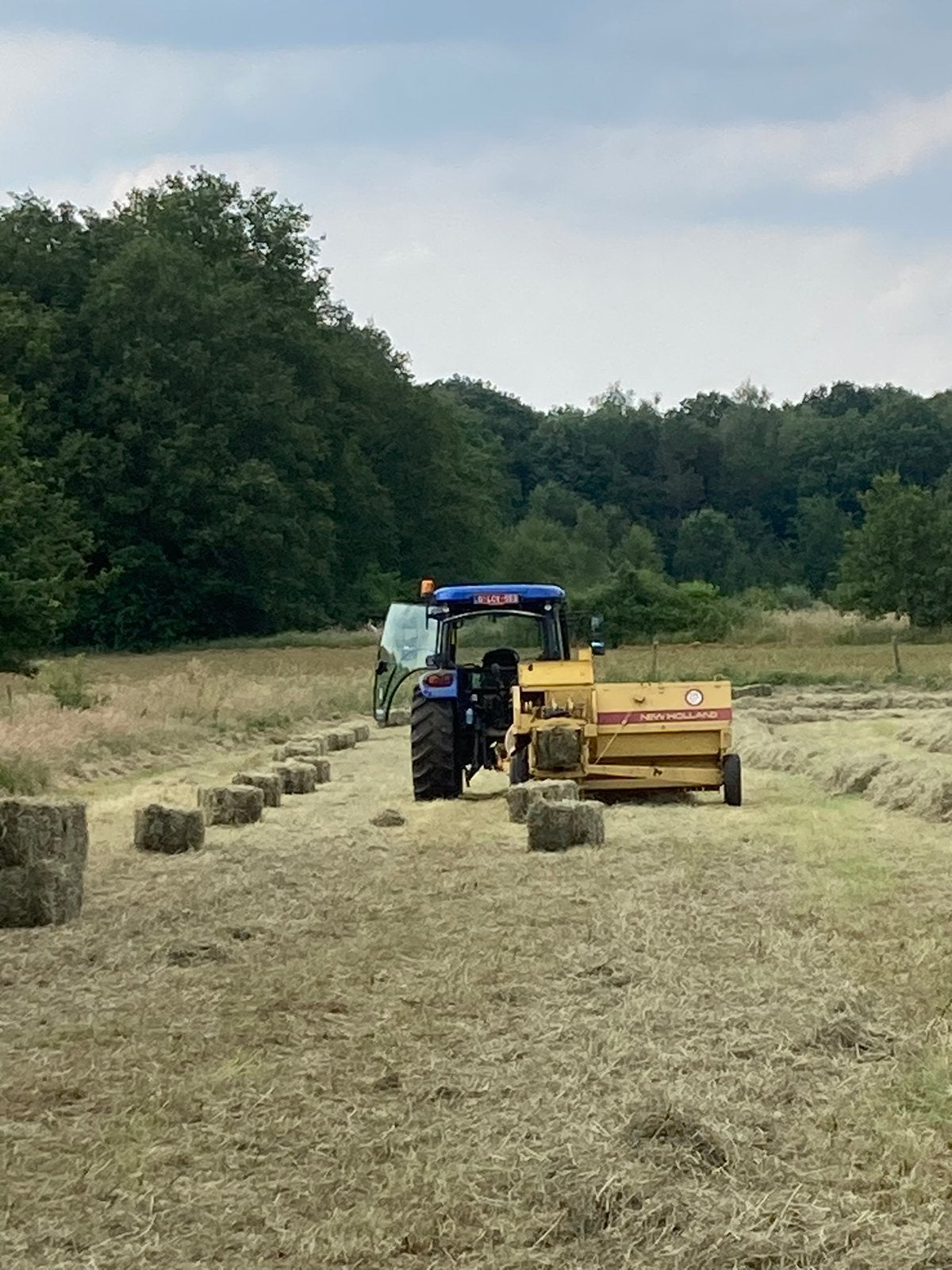 Kleine botten hooi, Enlèvement