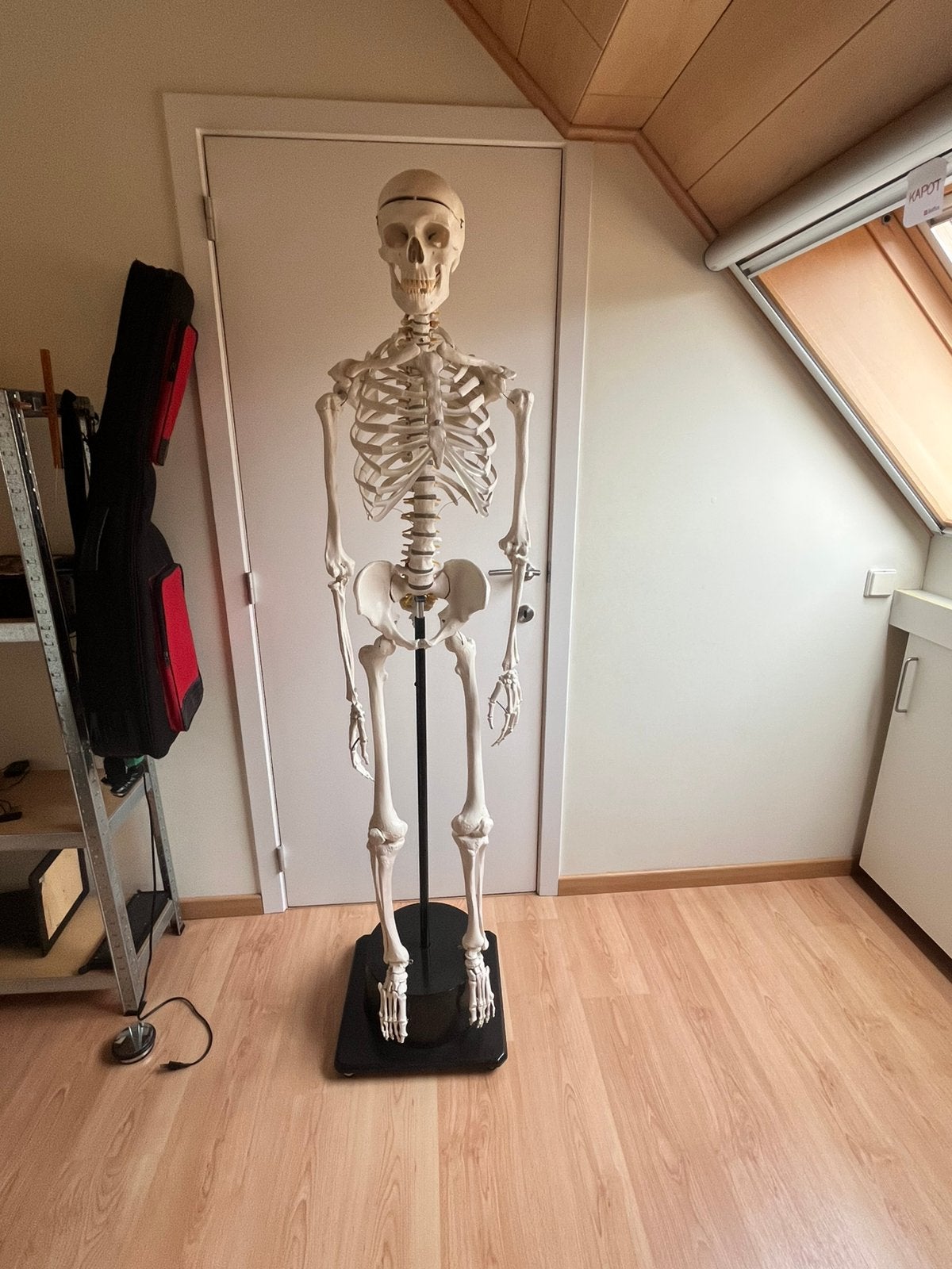 compleet studieskelet, Enlèvement, Comme neuf