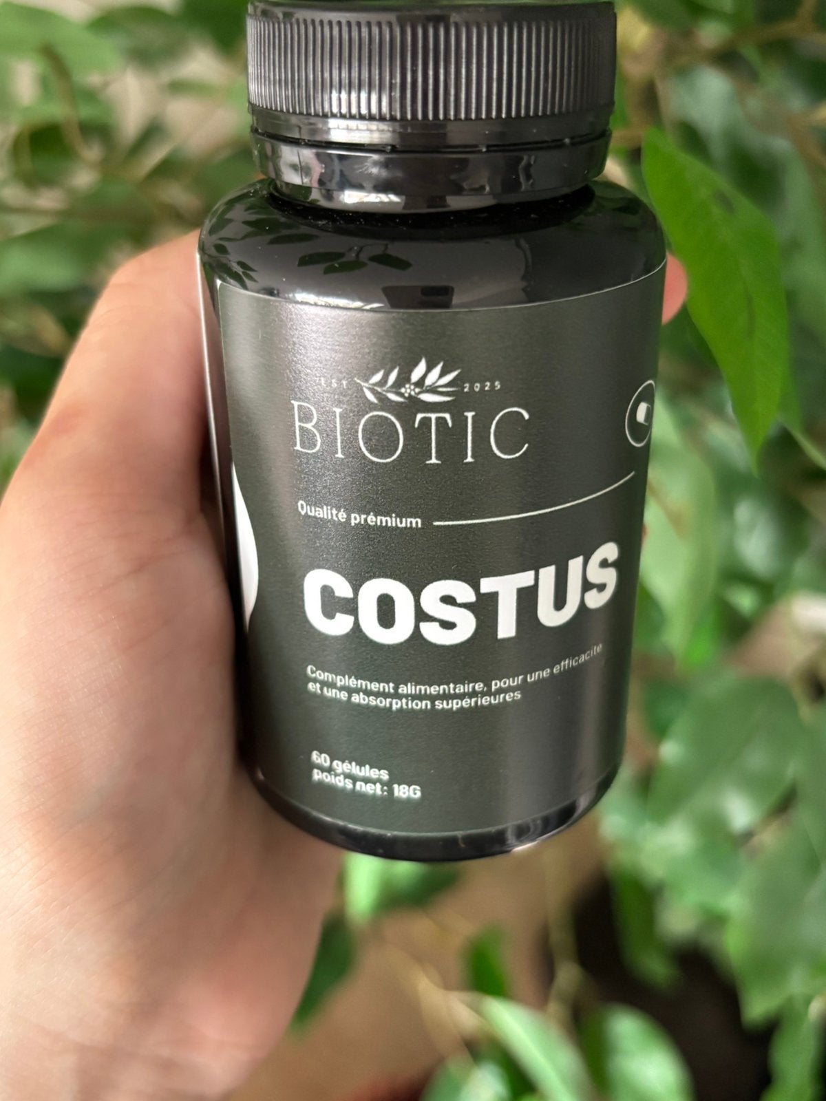 Gélules Costus Indien, Enlèvement ou Envoi, Neuf, Poudre ou Boisson