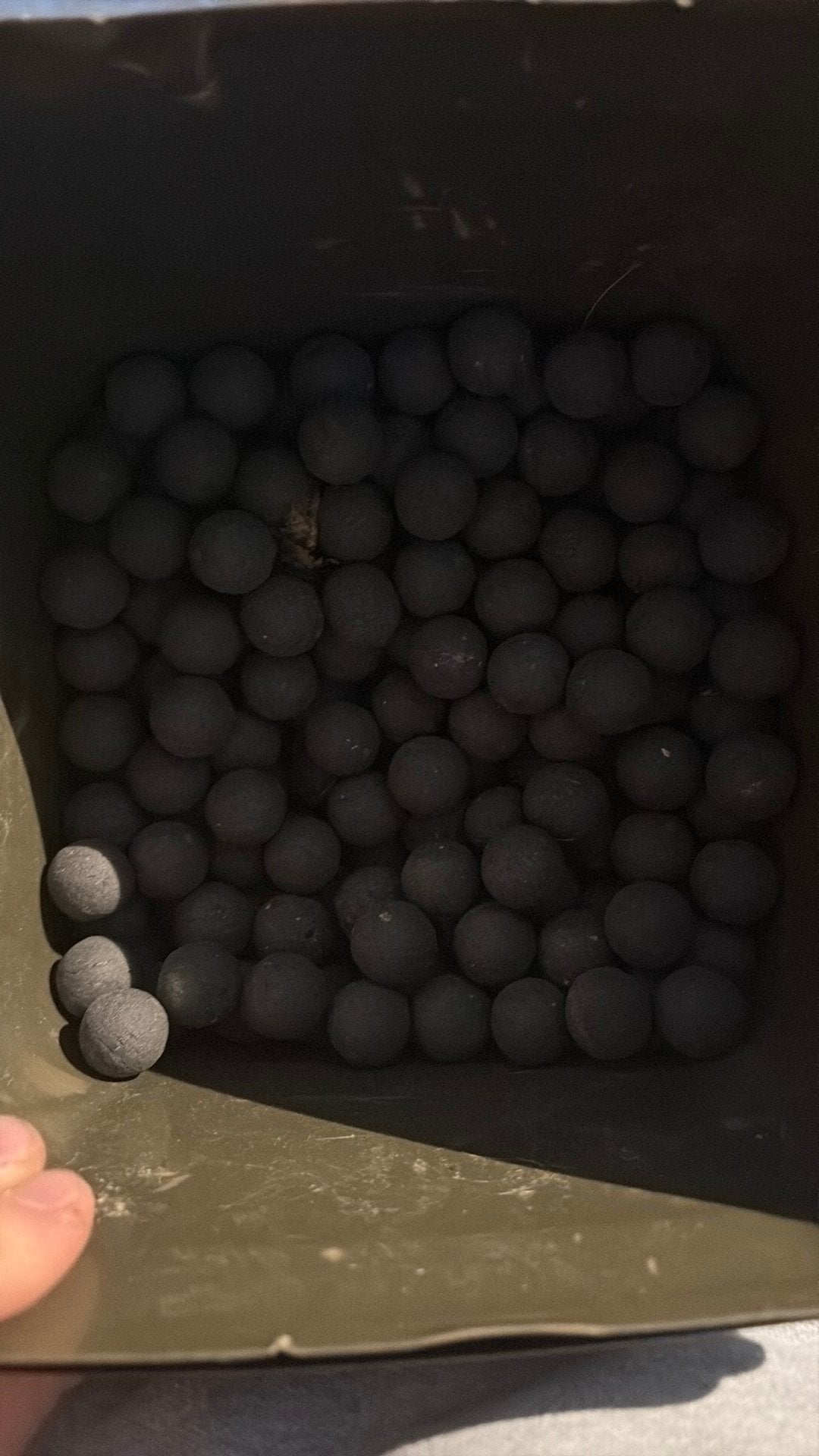 Spicy Pepper black 20mm popups, Watersport en Boten, Hengelsport | Karpervissen, Ophalen of Verzenden, Zo goed als nieuw, Overige typen
