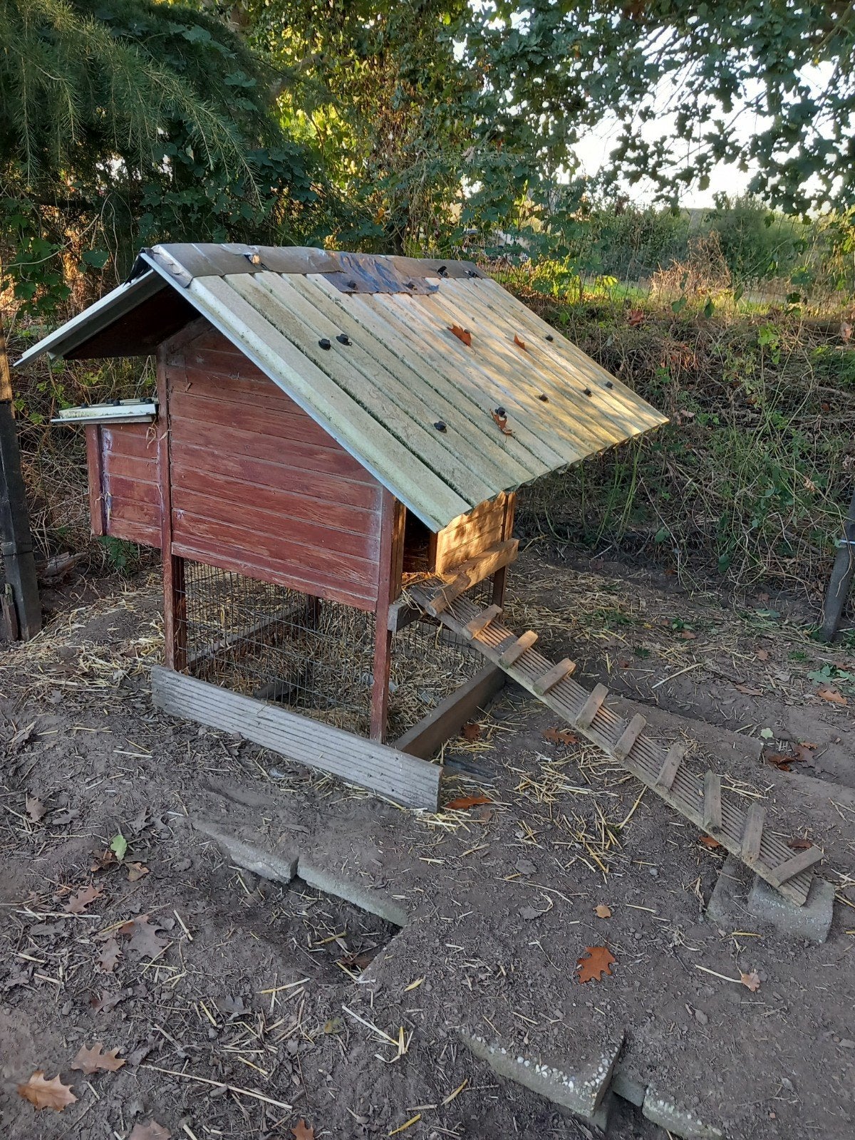 kippenhok zeer stevig, Ophalen, Gebruikt, Kippenhok of Kippenren