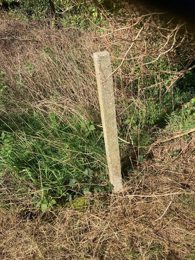 Gratis Palen, Ophalen, Gebruikt, Minder dan 180 cm, Palen