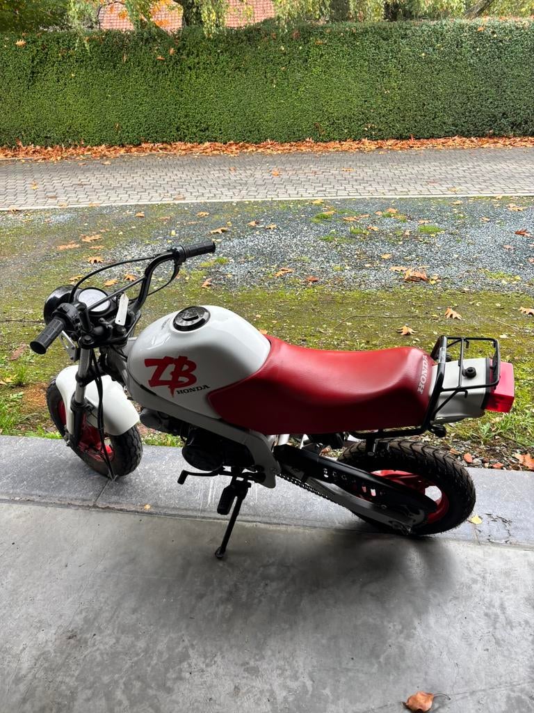 Honda ZB50, Enlèvement, Comme neuf