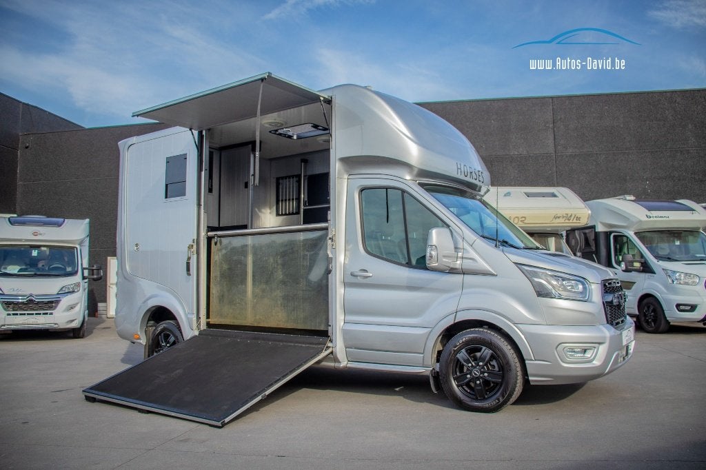 Camion équestre Roelofsen Parados Sport Ford Transit 350 L4, Autos, Cuir, Argent ou Gris, Achat, Euro 6