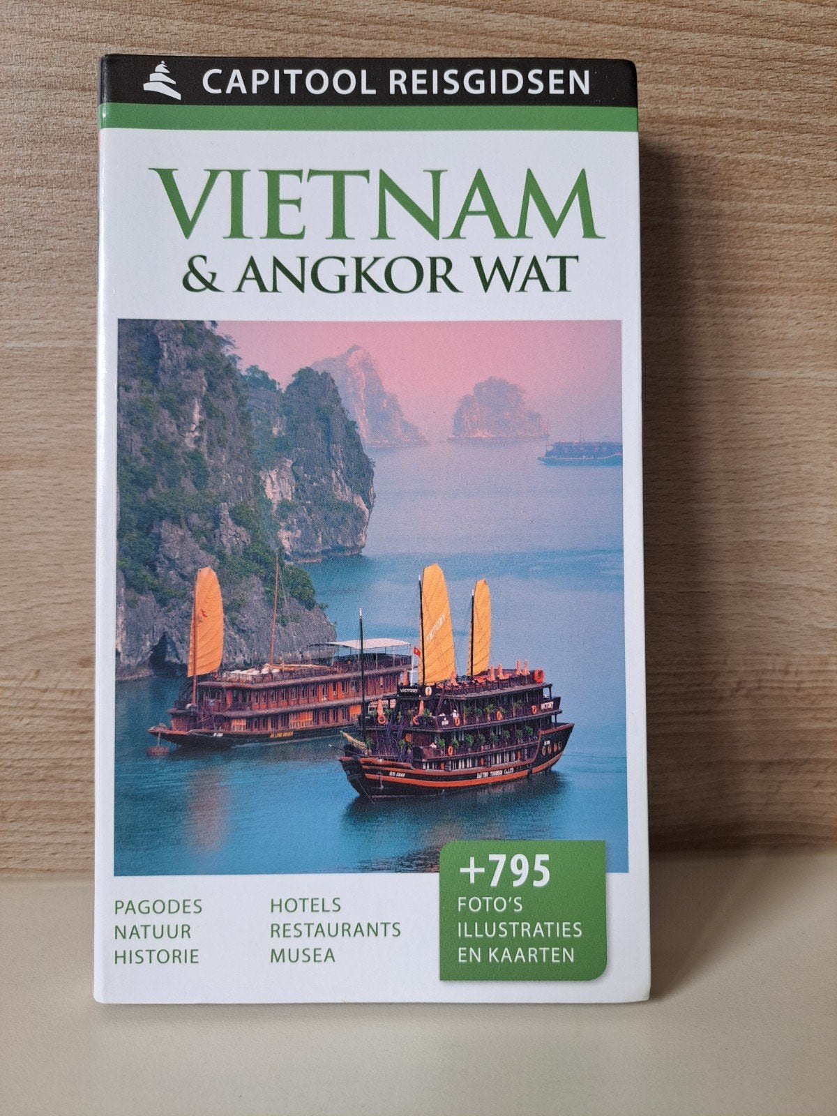 Capitool reisgids Vietnam, Boeken, Ophalen of Verzenden, Zo goed als nieuw, Capitool