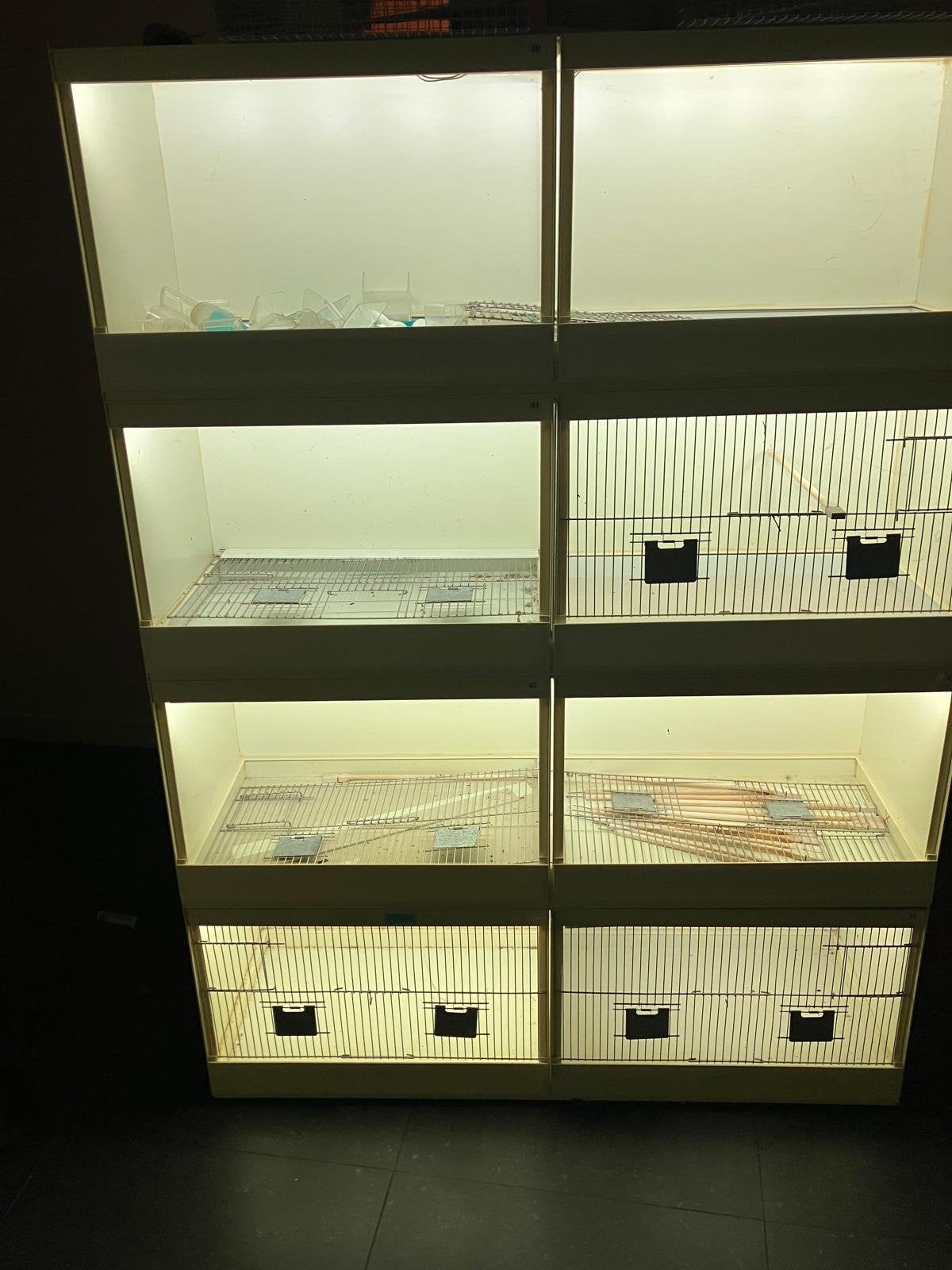 kweekkooien met Led verlichting te koop, Enlèvement, Comme neuf