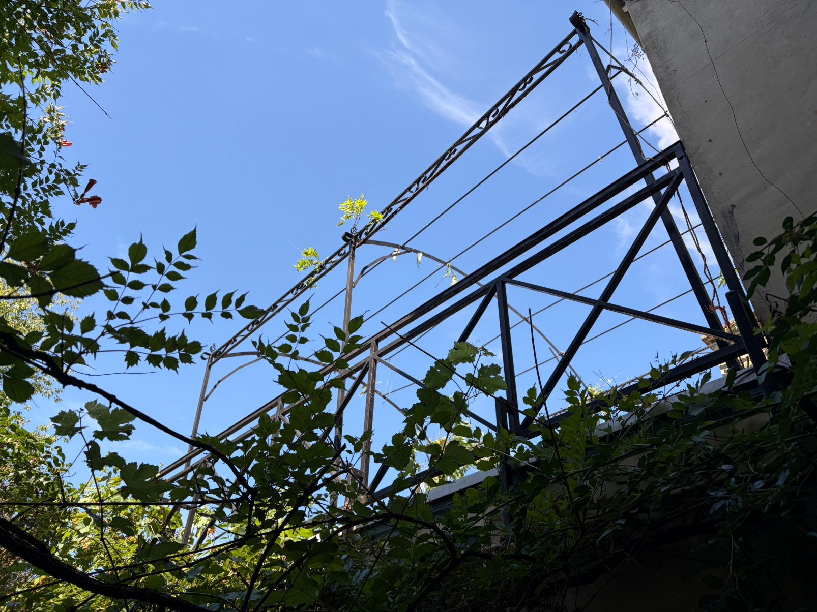 Pergola a donner, Ophalen, Gebruikt