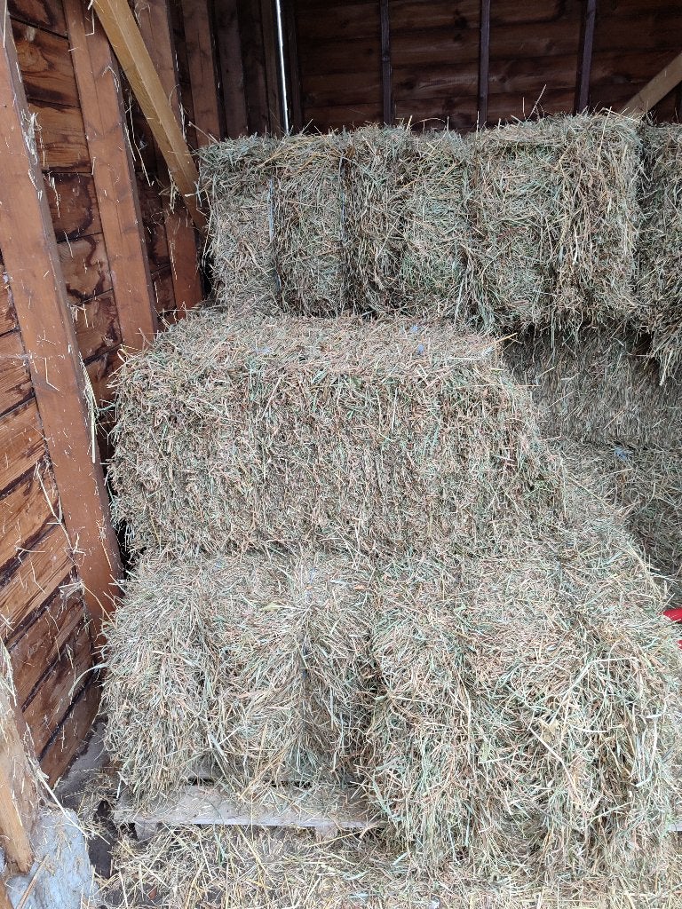 Kleine pakken hooi, Dieren en Toebehoren, Ophalen, Overige soorten