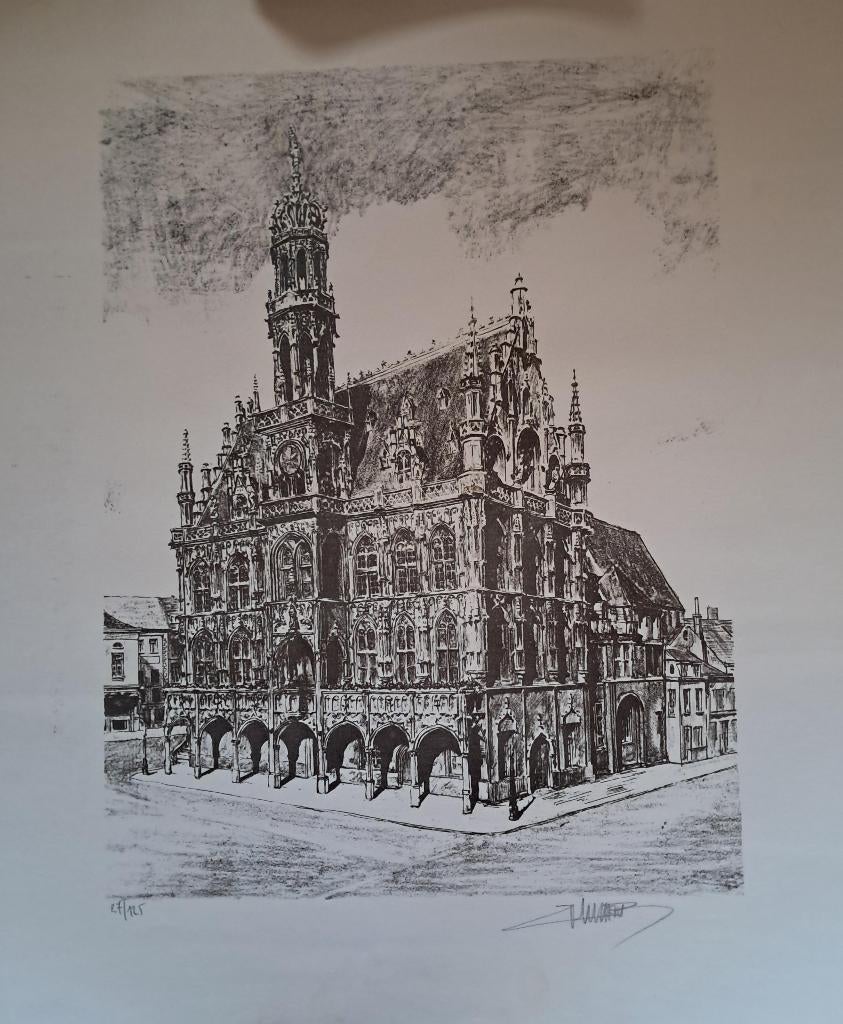 Mooie ets van Stadhuis Oudenaarde, Antiek en Kunst, Kunst | Etsen en Gravures, Ophalen of Verzenden