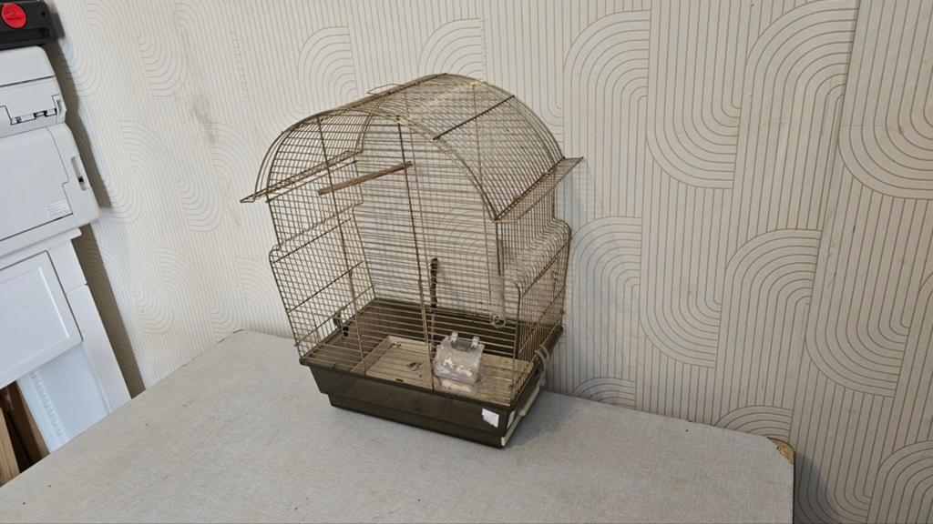 petit cage pour oiseaux  couleur dorée