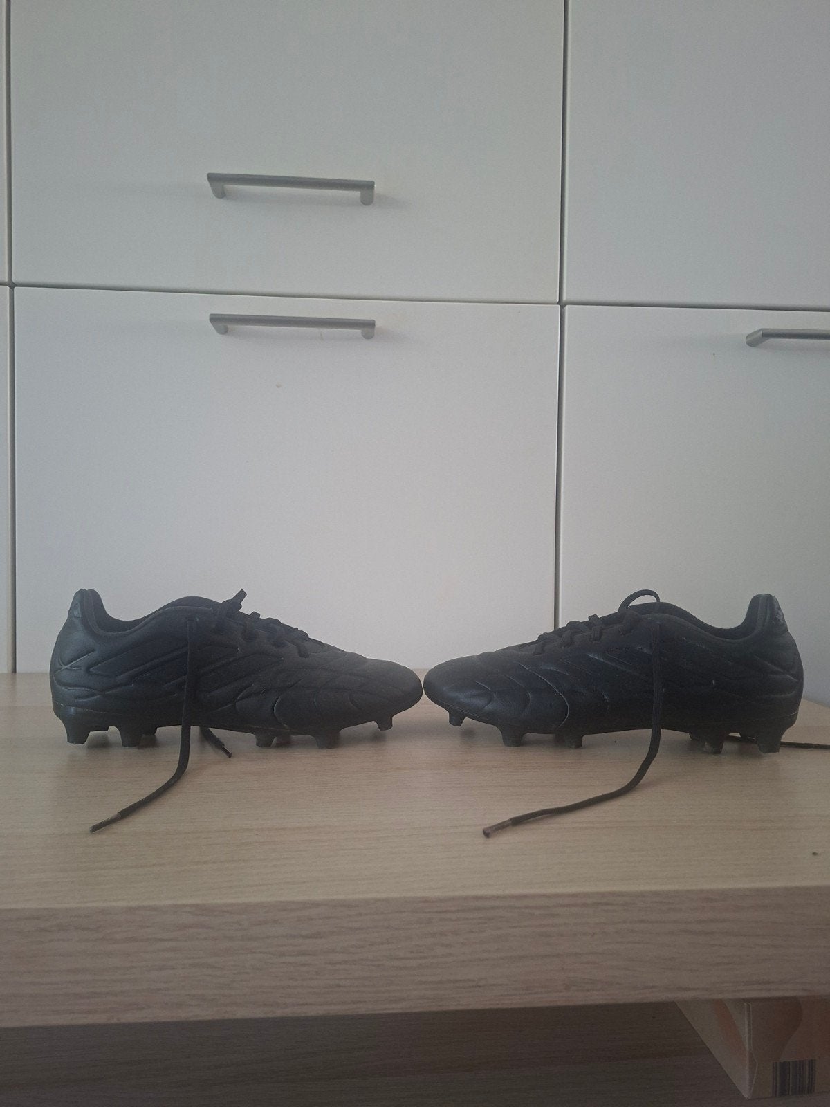Adidas copa m 42, Dieren en Toebehoren, Insecten en Spinnen