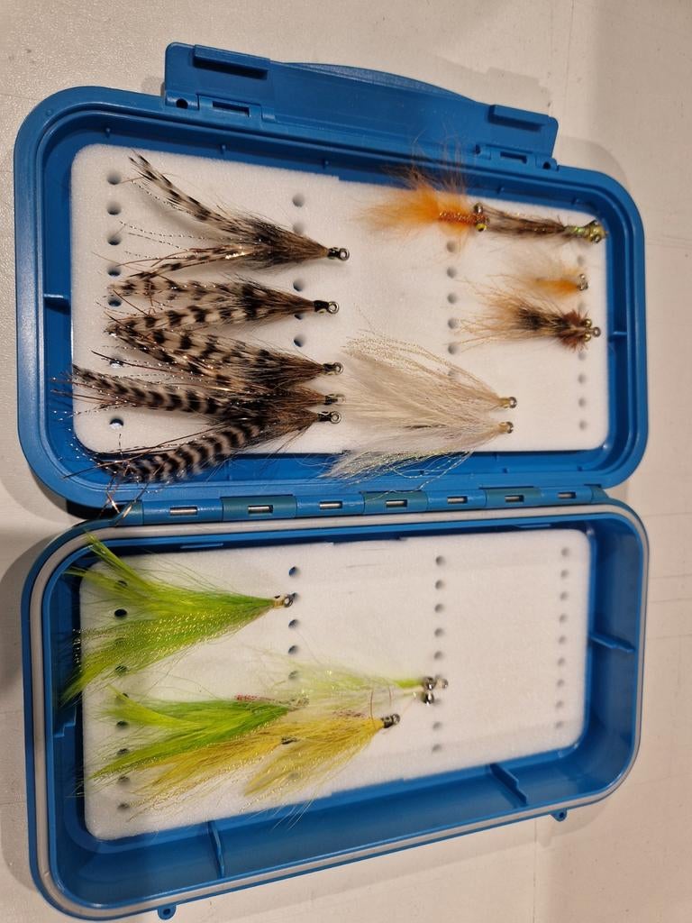 C&F large grand slam saltwater flybox met 16 vliegen, Enlèvement ou Envoi