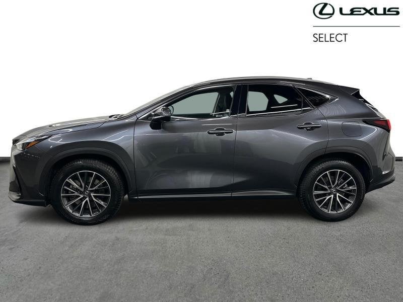 Lexus NX PHEV AWD Executive | Sun Roof | All Season Tyres, Autos, Lexus, https://public.car-pass.be/vhr/8bb62a79-95e9-4193-8b4c-278c69ec892c