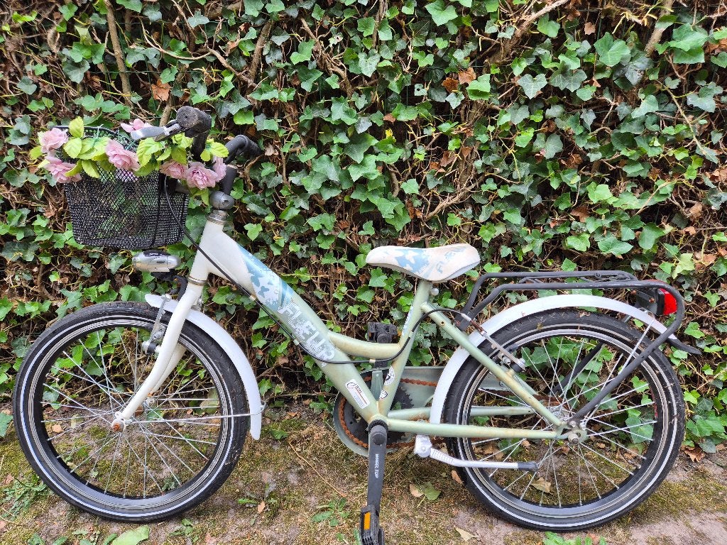 Kinderfiets 20 inch  (5-8 jaar), Ophalen, 20 inch of meer, Gebruikt, Velgrem
