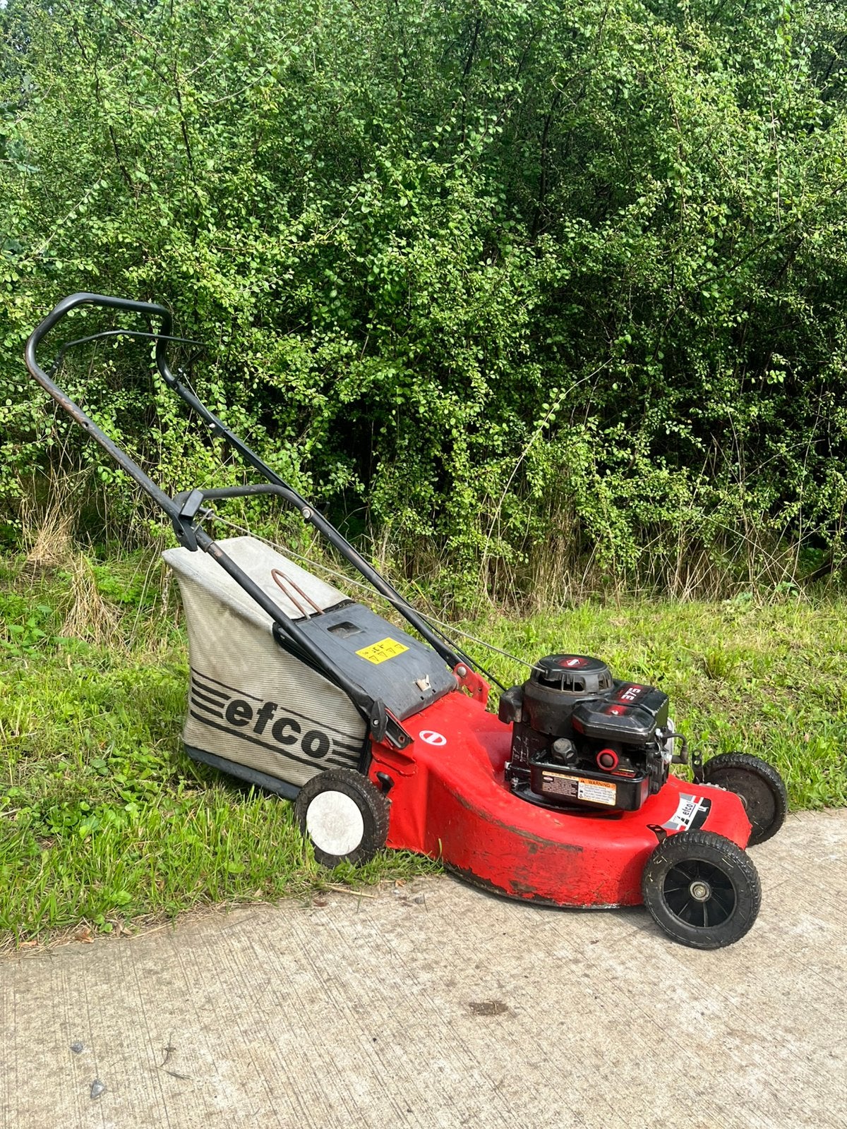 Efco Benzinemaaier – Briggs & Stratton 375 Motor, Tondeuse rotative, 40 à 49 cm, Enlèvement, Sac de ramassage