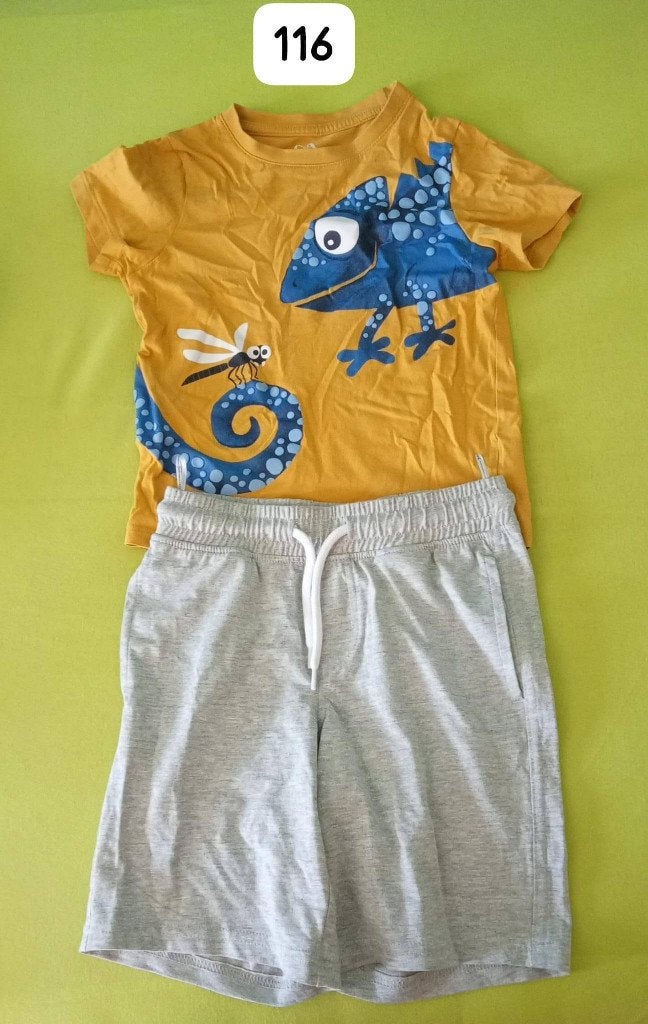 t-hirt+short, Ophalen, Zo goed als nieuw, Jongen, Setje