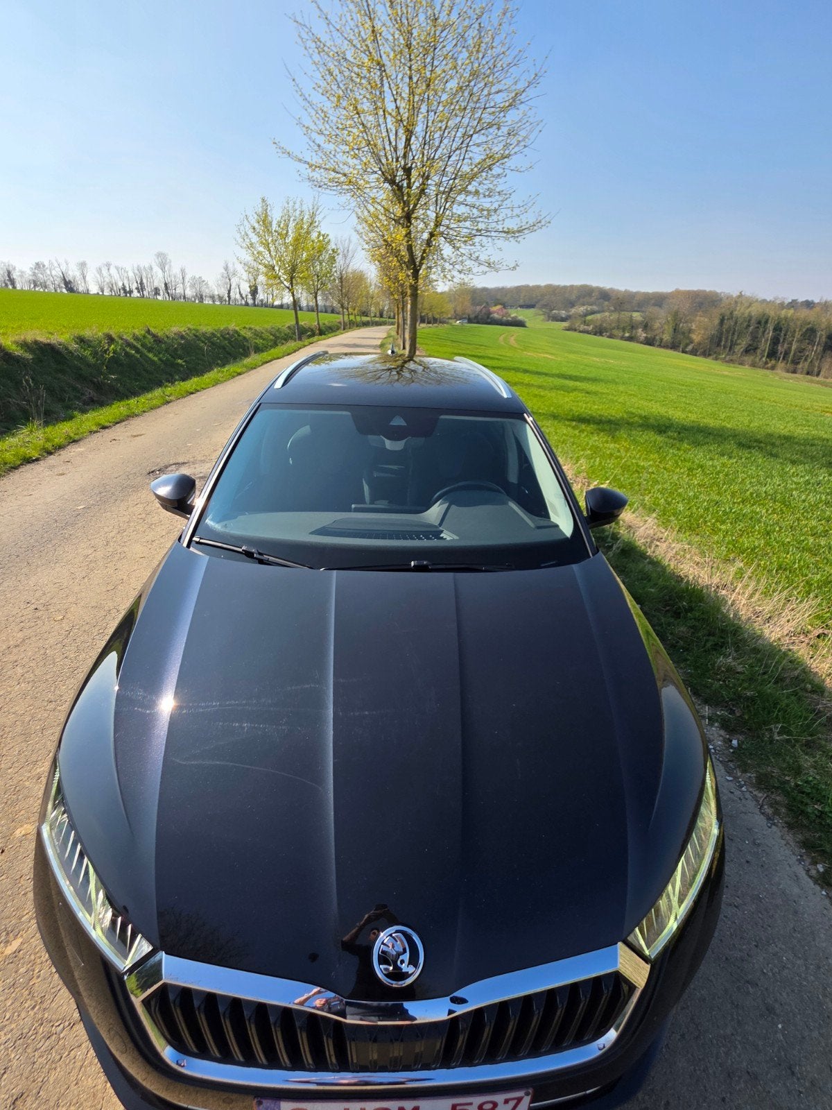 Skoda Octavia IV 2.0 Tdi 150cv Dsg, Achat, Euro 6, Alcantara, Noir