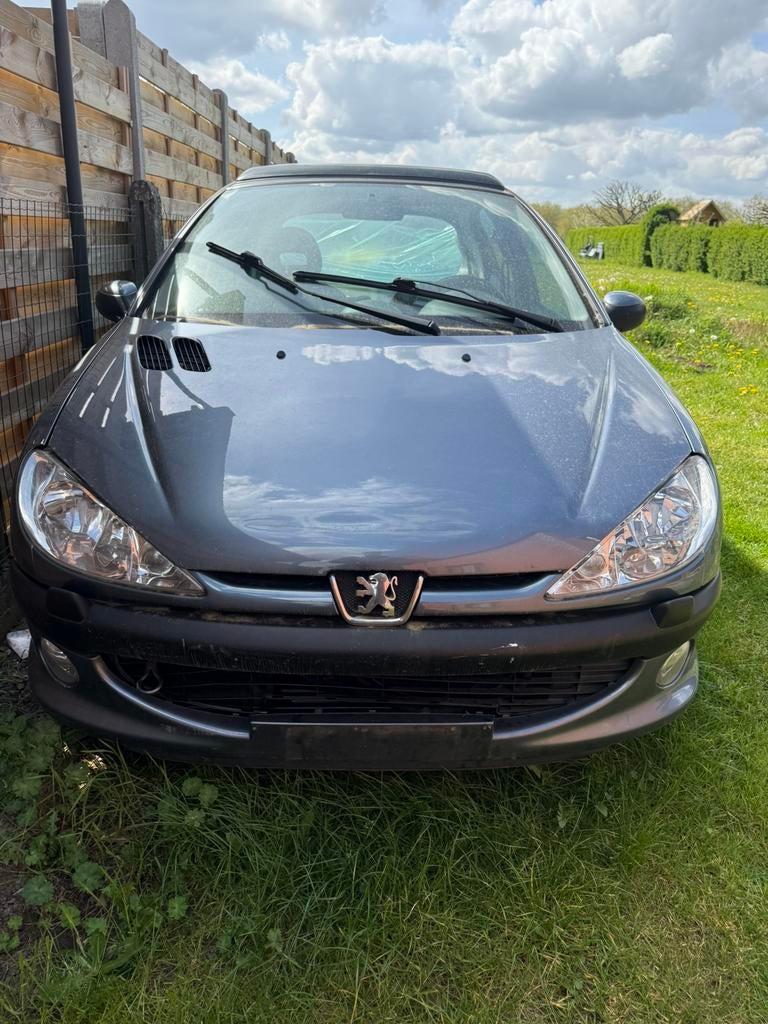Peugtot 206 (2006), Achat, Entreprise, Toit ouvrant, Essence